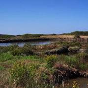marais du conseiller