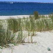 plages