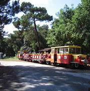 train touristique